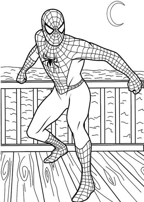 25 Free Spiderman Coloring Pages to Print and Enjoy 2024