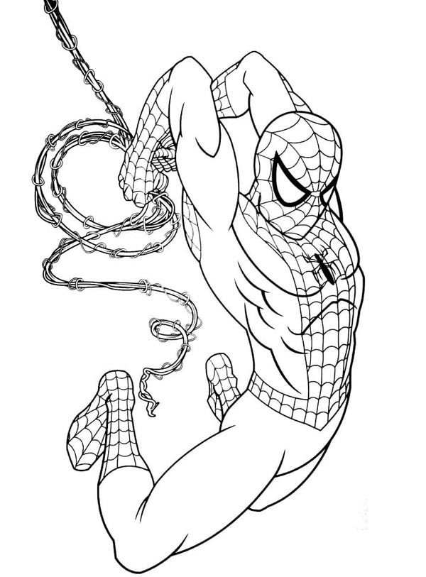 25 Free Spiderman Coloring Pages to Print and Enjoy 2024