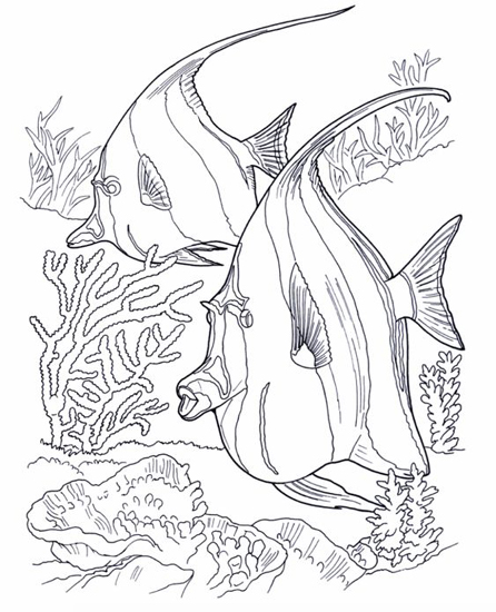 15 Best Fish Coloring Pages Suitable for Kids of All Ages