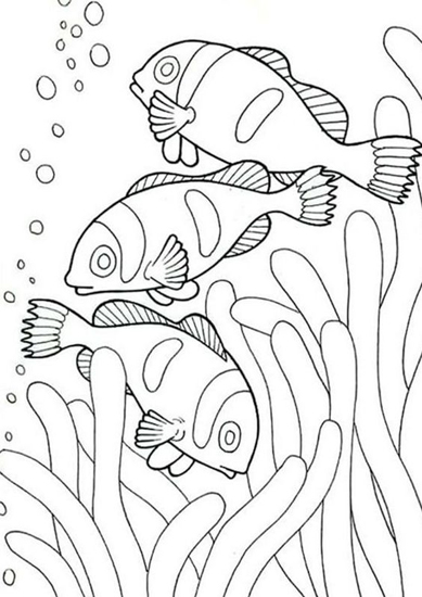 15 Best Fish Coloring Pages Suitable for Kids of All Ages