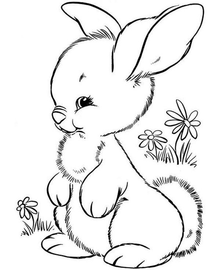 15 Beautiful Rabbit Coloring Pages for Kids in 2023