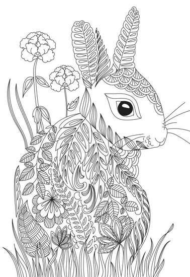 15 Beautiful Rabbit Coloring Pages for Kids in 2023
