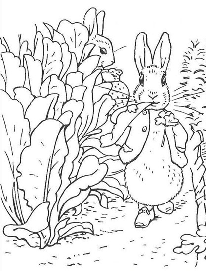 15 Beautiful Rabbit Coloring Pages for Kids in 2023