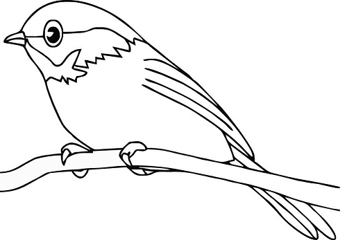 20 Attractive Birds Coloring Pages for Kids of All Ages