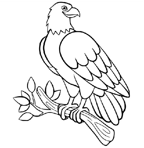 20 Attractive Birds Coloring Pages for Kids of All Ages