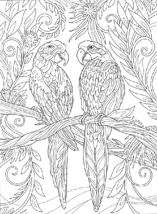 20 Attractive Birds Coloring Pages for Kids of All Ages