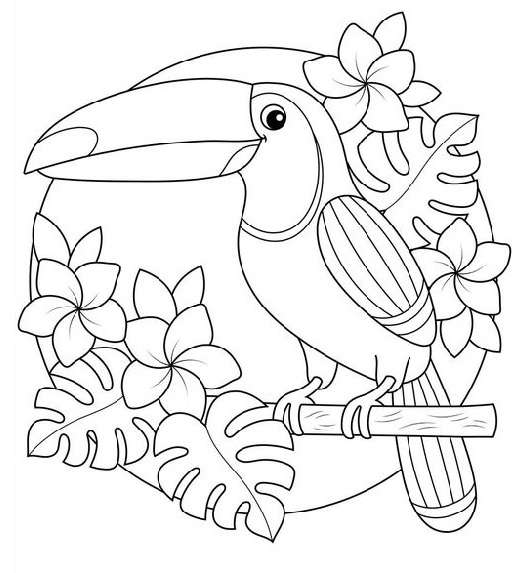 20 Attractive Birds Coloring Pages for Kids of All Ages