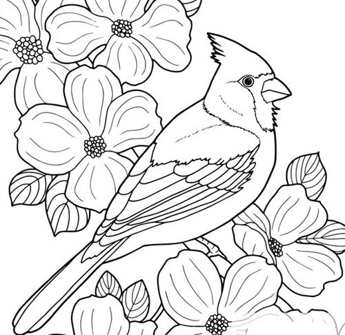 20 Attractive Birds Coloring Pages for Kids of All Ages