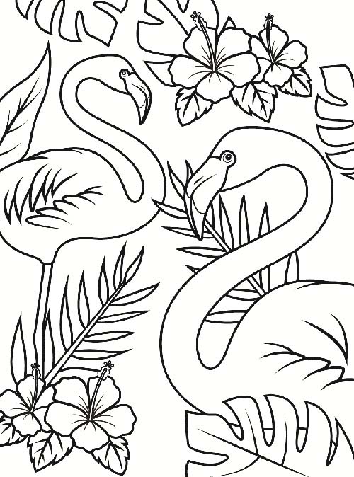 20 Attractive Birds Coloring Pages for Kids of All Ages