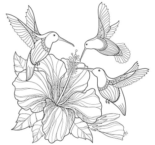 20 Attractive Birds Coloring Pages for Kids of All Ages