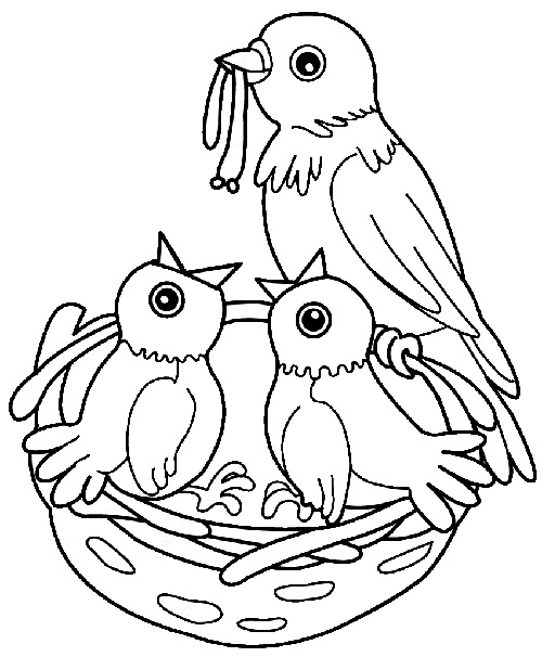 20 Attractive Birds Coloring Pages for Kids of All Ages