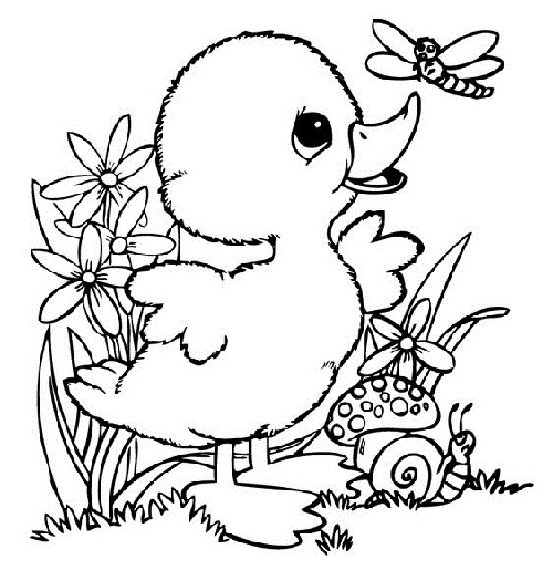 20 Attractive Birds Coloring Pages for Kids of All Ages
