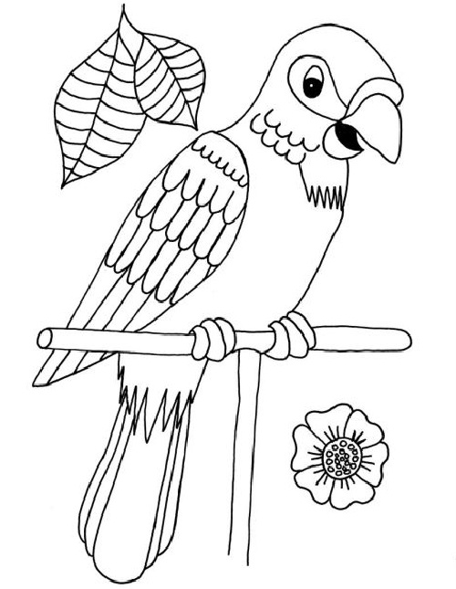 20 Attractive Birds Coloring Pages for Kids of All Ages