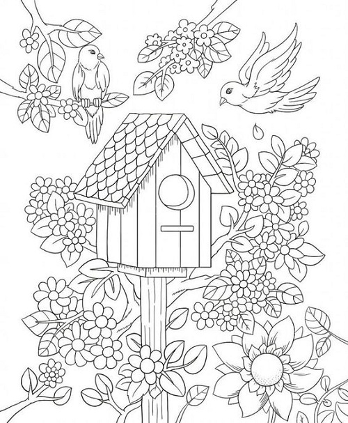 20 Attractive Birds Coloring Pages for Kids of All Ages