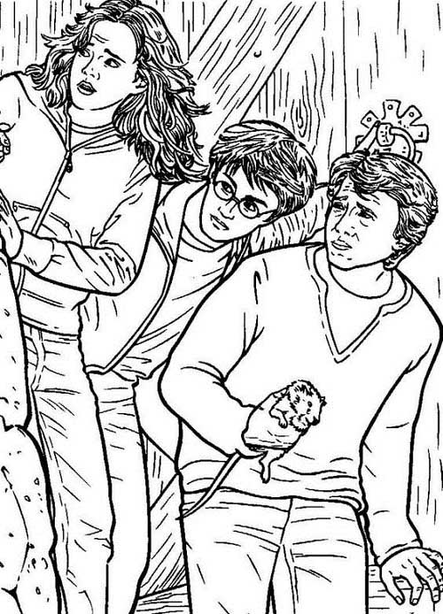 Add Magic to These Best 15 Harry Potter Coloring Pages with Colours