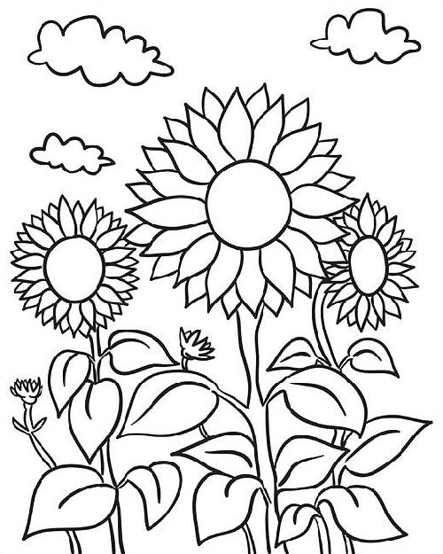 15 Enticing Summer Coloring Pages for Everyone in 2023