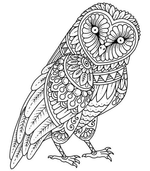 Mandala Coloring Pages: Top 20 Colouring Sheet Options