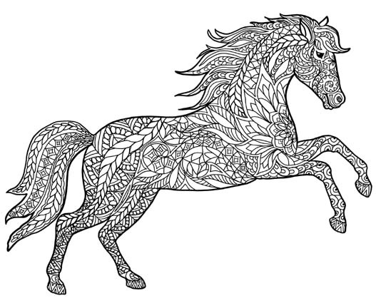 Mandala Coloring Pages: Top 20 Colouring Sheet Options