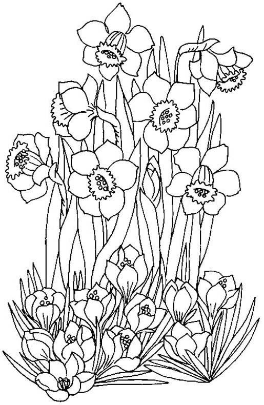 Spring Coloring Pages: 15 Impressive Patterns for You to Try