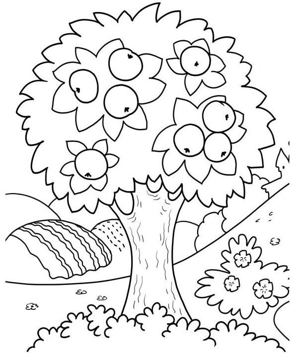 15 Fruit Coloring Pages for Your Kids of All Ages Will Love!