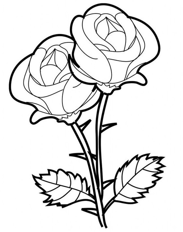 14 Gorgeous Rose Coloring Pages for Kids and Adults