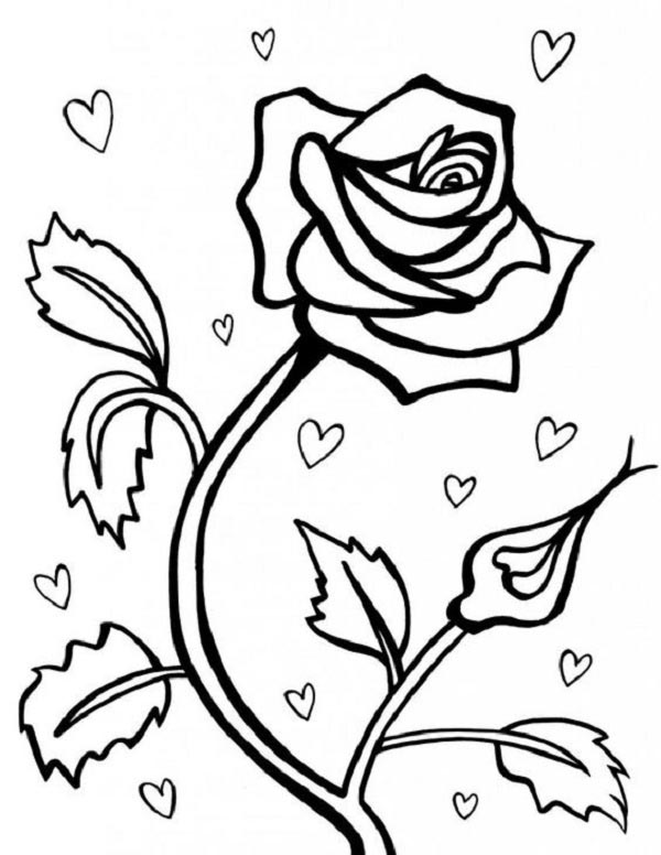 14 Gorgeous Rose Coloring Pages for Kids and Adults