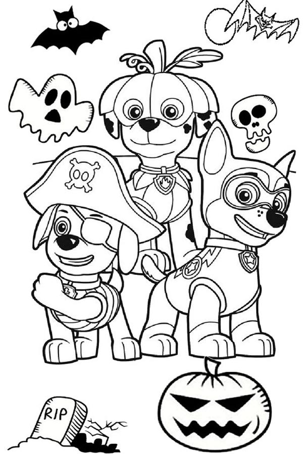 PAW Patrol Coloring Pages: Add Colors to Your 20 Favorite Sheets