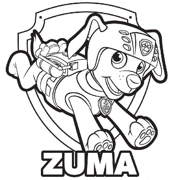 PAW Patrol Coloring Pages: Add Colors to Your 20 Favorite Sheets