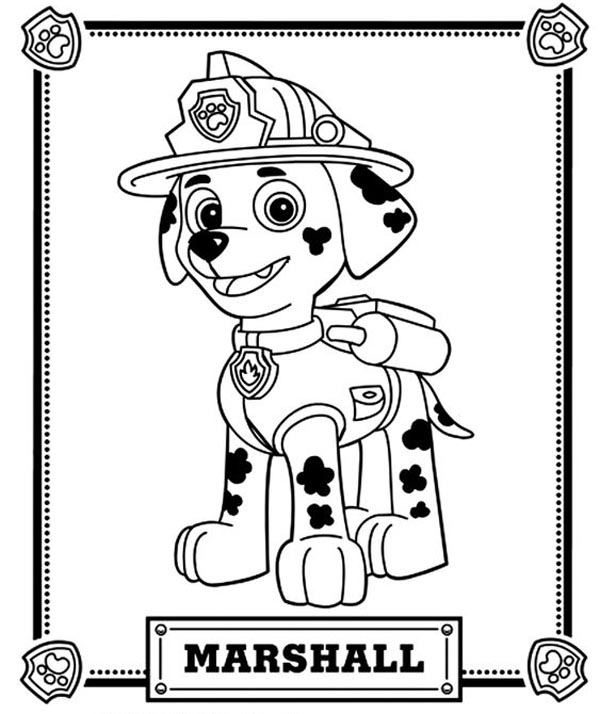 PAW Patrol Coloring Pages: Add Colors to Your 20 Favorite Sheets