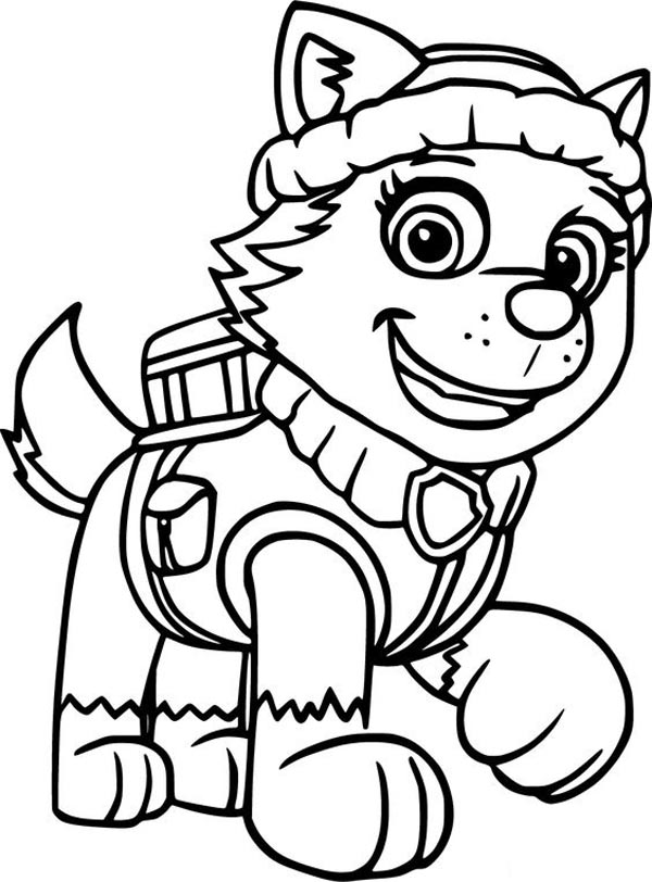 PAW Patrol Coloring Pages: Add Colors to Your 20 Favorite Sheets