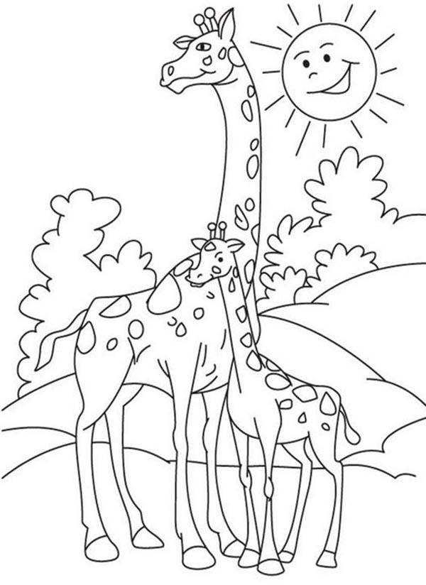 Giraffe Coloring Pages: Top 15 Sheets to Engage your Kids in 2023