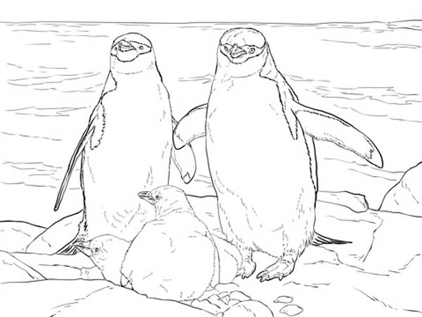 15 Adorable Penguin Coloring Pages Your Kids will Love