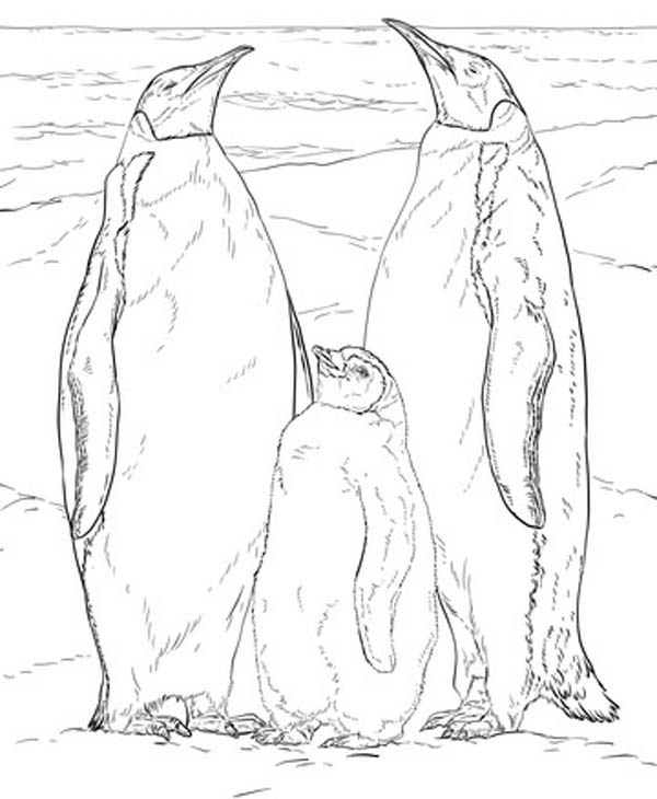 15 Adorable Penguin Coloring Pages Your Kids will Love
