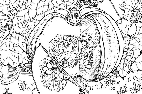 15 Mystical Pumpkin Coloring Pages with Colouring Tips