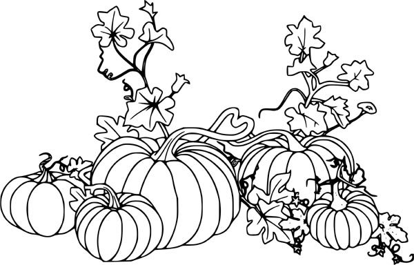 15 Mystical Pumpkin Coloring Pages with Colouring Tips