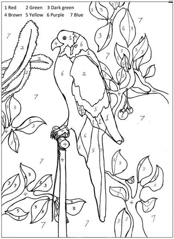 15 Beautiful Parrot Coloring Pages to Engage your Kids