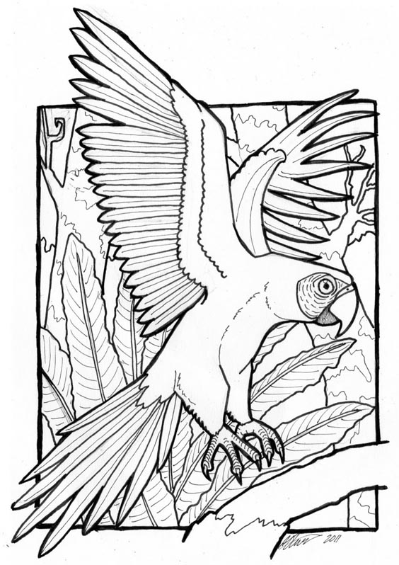 15 Beautiful Parrot Coloring Pages to Engage your Kids