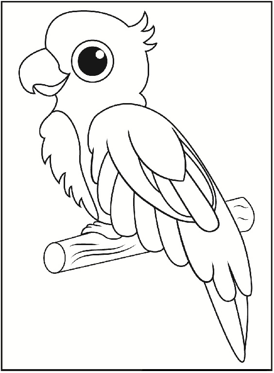 15 Beautiful Parrot Coloring Pages to Engage your Kids