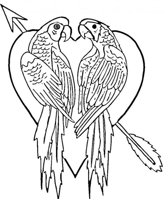 15 Beautiful Parrot Coloring Pages to Engage your Kids