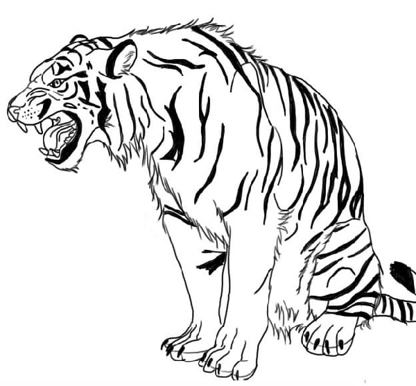 15 Best Tiger Coloring Pages for Kids and Adults in 2023
