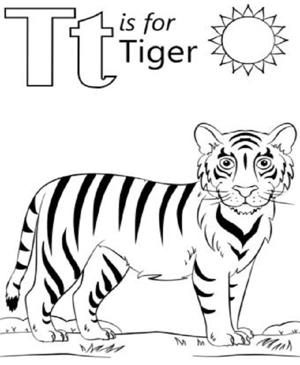 15 Best Tiger Coloring Pages for Kids and Adults in 2023