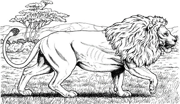 15 Majestic Lion Coloring Pages for Kids of All Ages