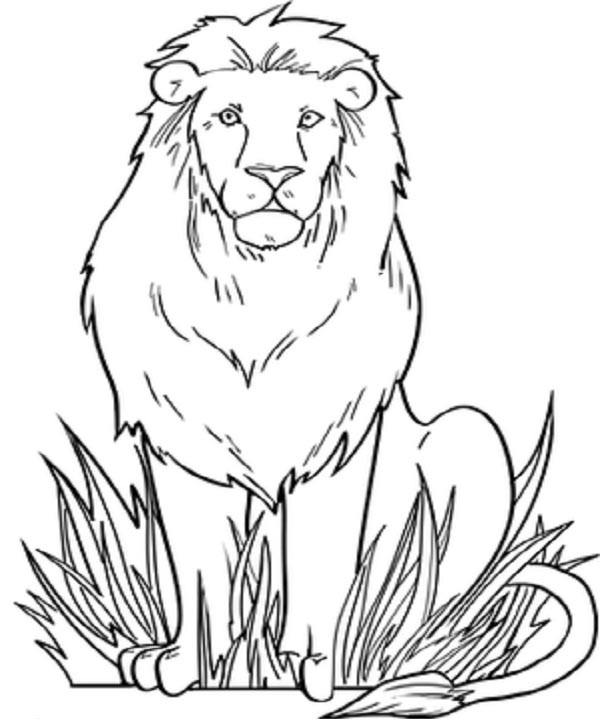 15 Majestic Lion Coloring Pages for Kids of All Ages