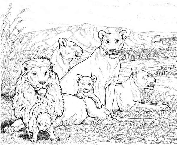 15 Majestic Lion Coloring Pages for Kids of All Ages