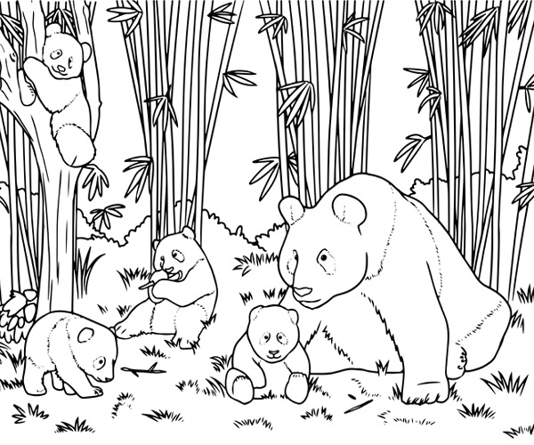 15 Cute Panda Coloring Pages for Your Little Ones
