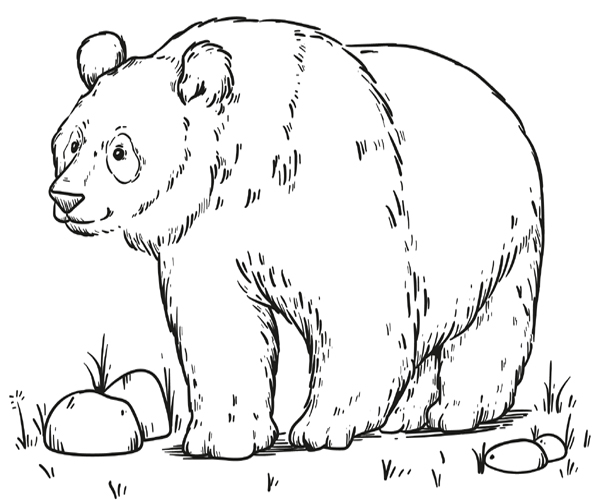 15 Cute Panda Coloring Pages for Your Little Ones