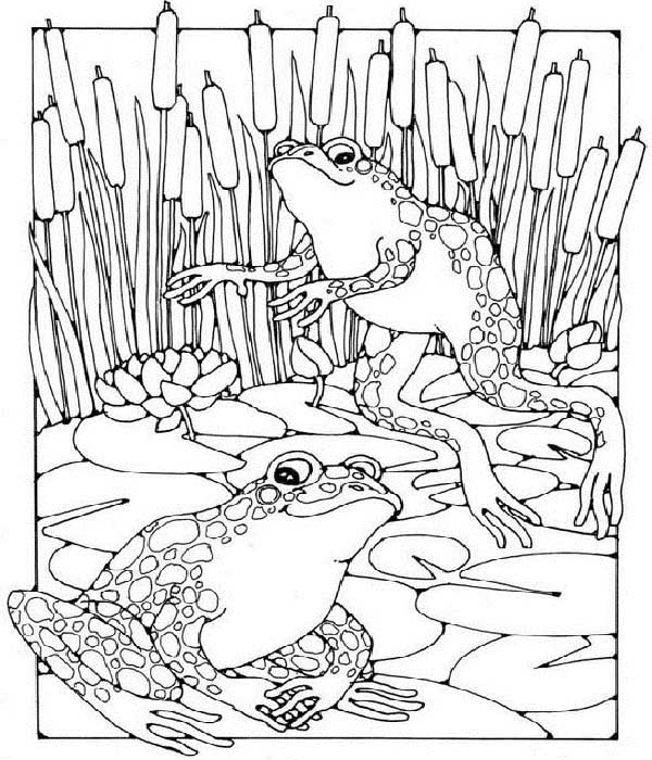 15 Cute and Quirky Frog Coloring Pages for Hours of Fun