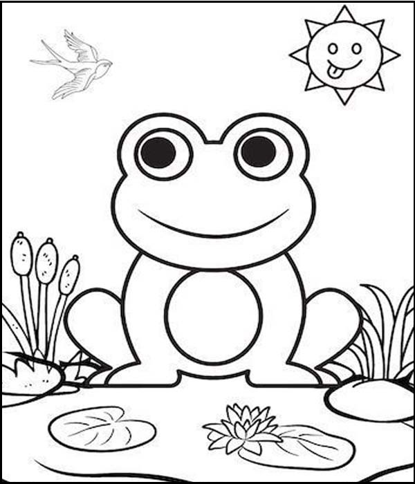 15 Cute and Quirky Frog Coloring Pages for Hours of Fun