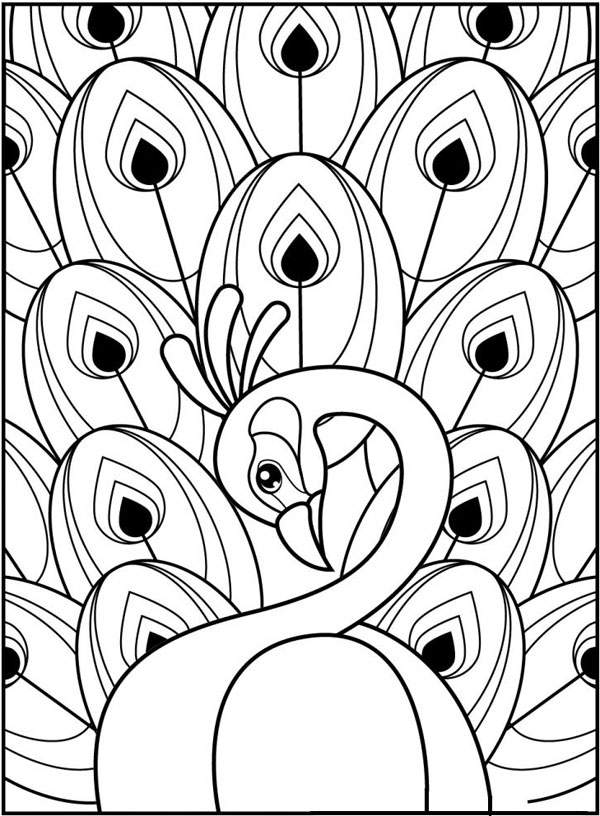 15 Peacock Coloring Pages for Kids to Have Feathery Fun