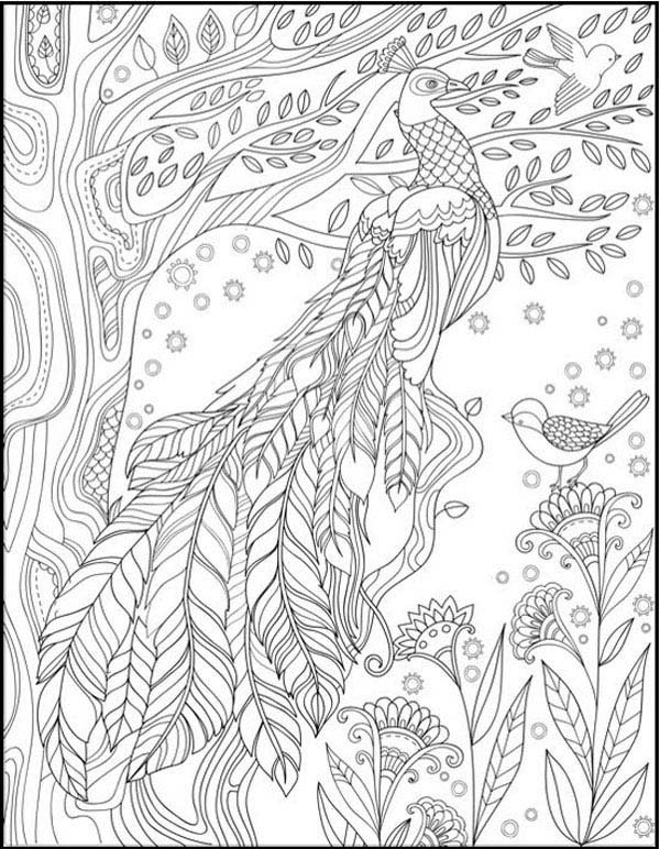15 Peacock Coloring Pages for Kids to Have Feathery Fun